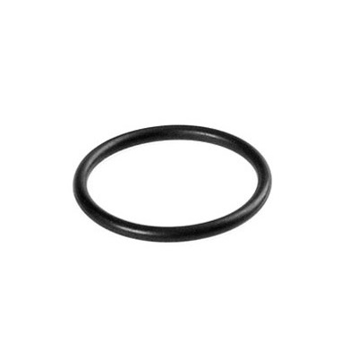 [6.362-522.0] Anillo de guarnicion 24,0 X 2,0, Karcher