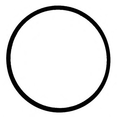 [6.363-077.0] Anillo de guarnicion 75x3, Karcher