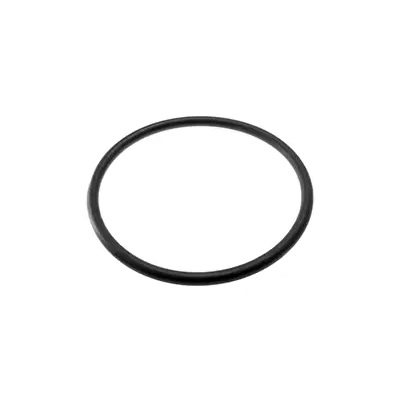 [9.080-453.0] Anillo de guarnicion 95x6, Karcher